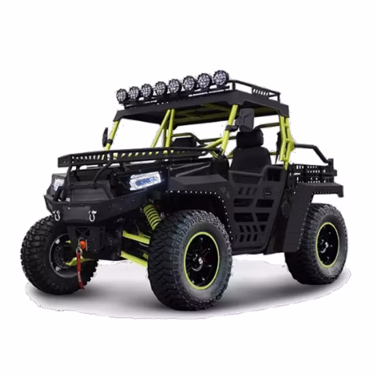 New Farm 格安スポーツ 2 シーター 1000cc 4X4 クルーザー ビーチバギーユーティリティビークル UTV EPA 付き