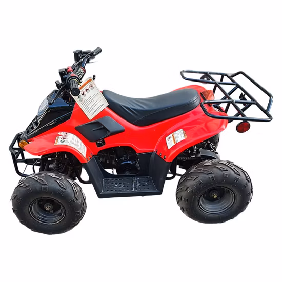 子供のための熱い販売チェーン ドライブ自動クワッド バイク 110cc ATV